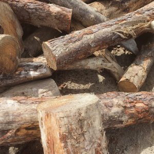 Firewood-logs-500