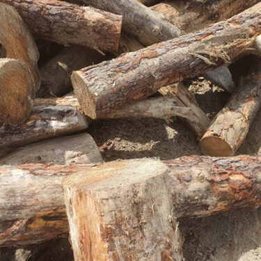 Pine – Firewood Logs