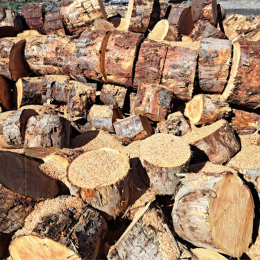 Pine – Firewood Rings
