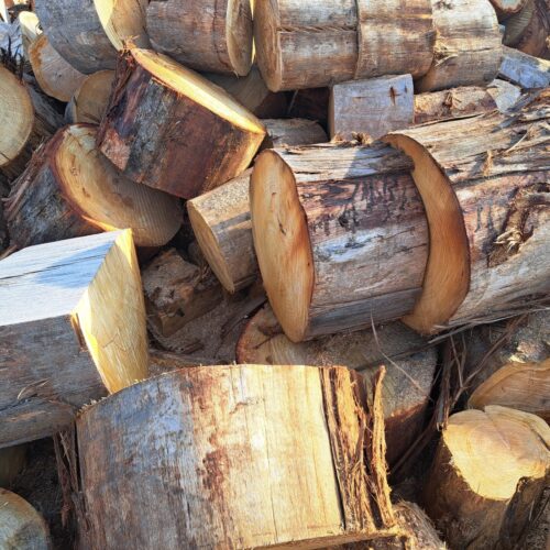 Gum- Firewood Rings