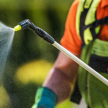 Bug Spraying (your firewood shed)